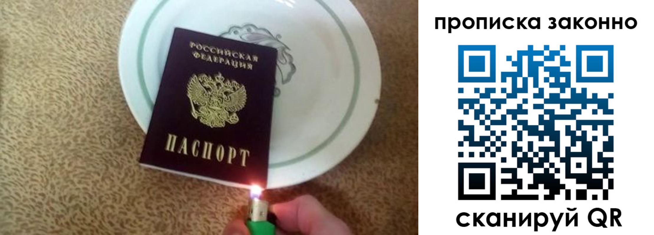 прописка поиск в Новодвинске