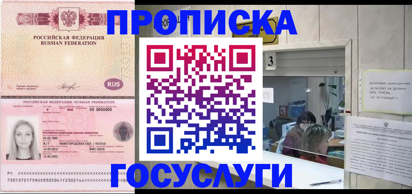 прописка паспорт в Новодвинске